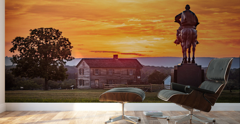 Stonewall Jackson at Manassas Battlefield Wall Murals