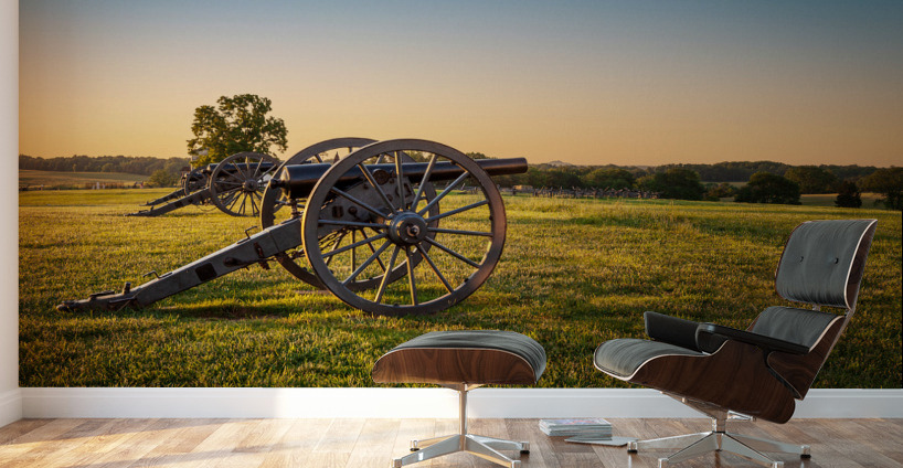Cannons at Manassas Battlefield Wall Murals