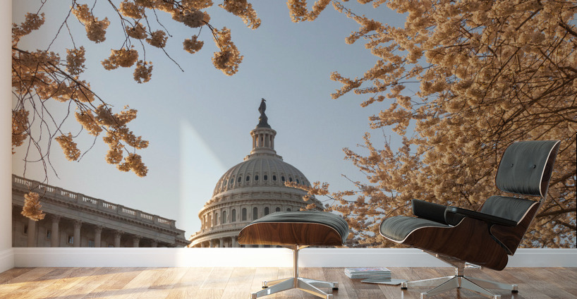 Cherry blossoms framing the Capitol Wall Murals