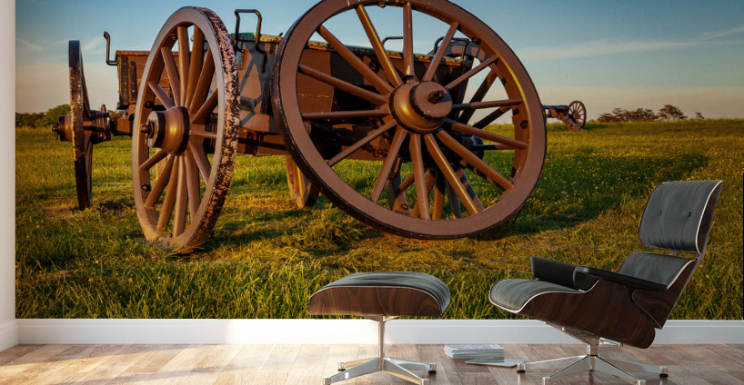 Cart on Manassas Battlefield Wall Murals