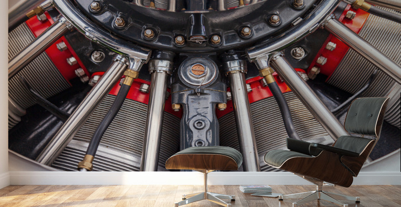 American AT-6 Texan engine Wall Murals