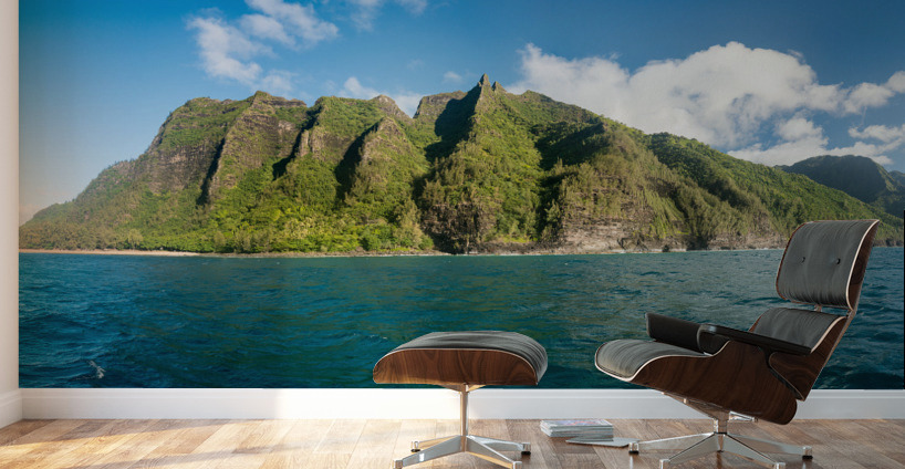 Na Pali coastline taken from sunset cruise along Kauai shore Wall Murals