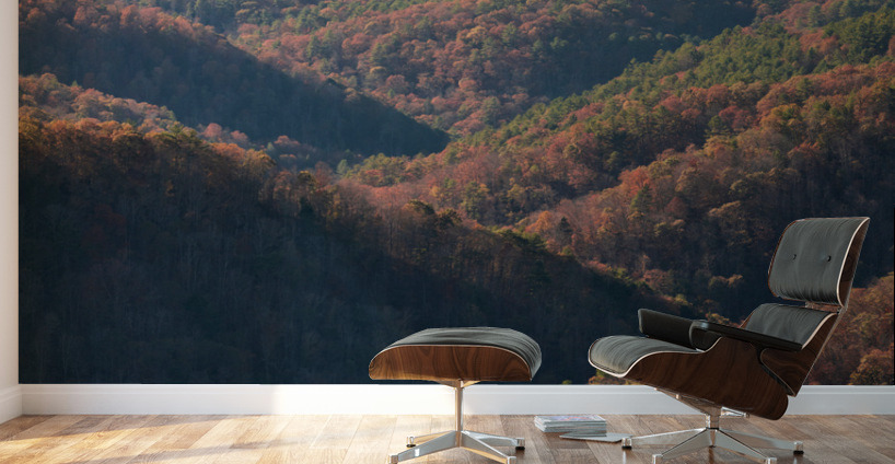 Rolling appalachian hills from Pipestem park Wall Murals