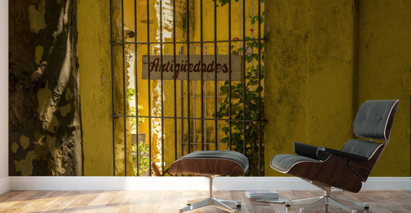 Window to courtyard of antique shop in Colonia del Sacramento Wall Murals