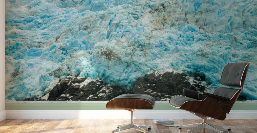 Amalia Glacier towers over large rocks and trees in Patagonia Wall Murals