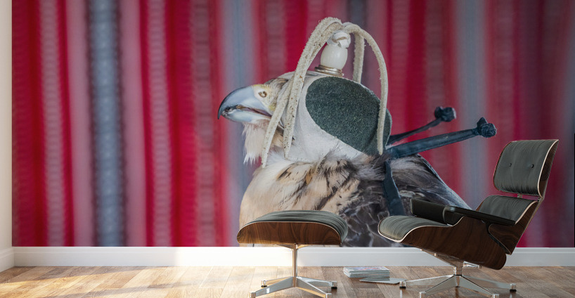 Falcon indoors wearing a leather cap with straps around its neck Wall Murals