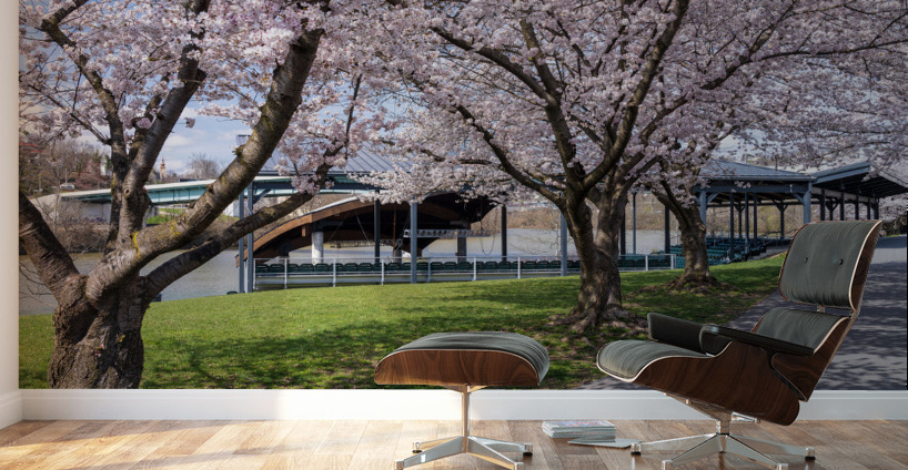 Ruby Amphitheater by walking trail  by the river in Morgantown W Wall Murals