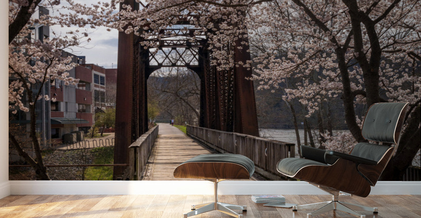 Steel girder bridge carries the bike walking trail over Deckers  Wall Murals