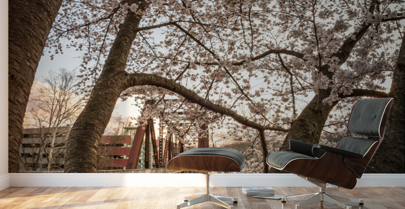 Steel girder bridge carries the bike walking trail over Deckers  Wall Murals
