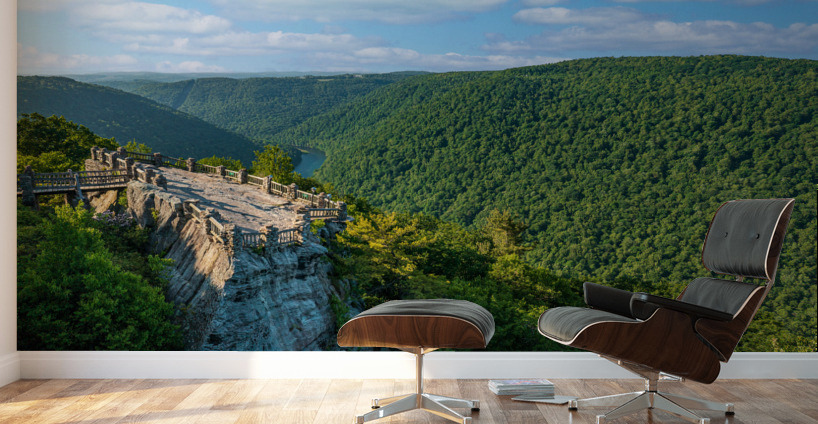 Aerial panoramic image of Cheat River Gorge overlook Wall Murals