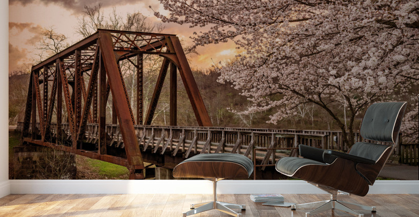 Sunset behind cherry blossoms in Morgantown WV Wall Murals