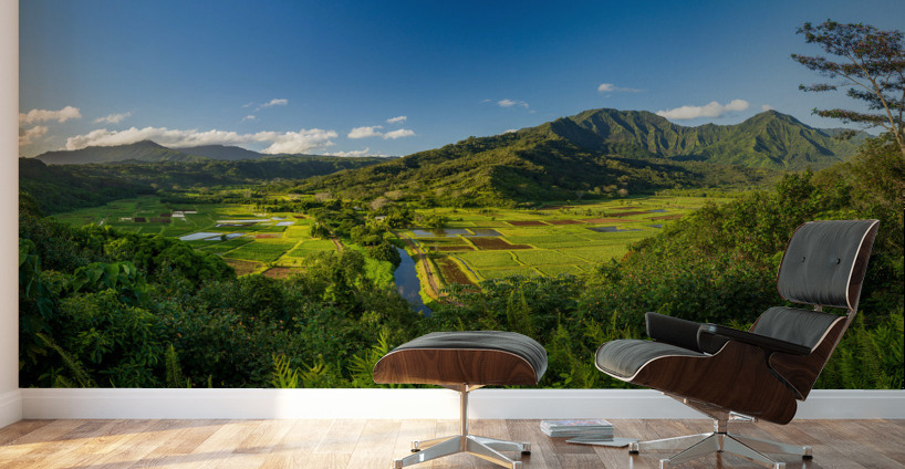 Panoramic view over the Hanalei national wildlife refuge Kauai Wall Murals