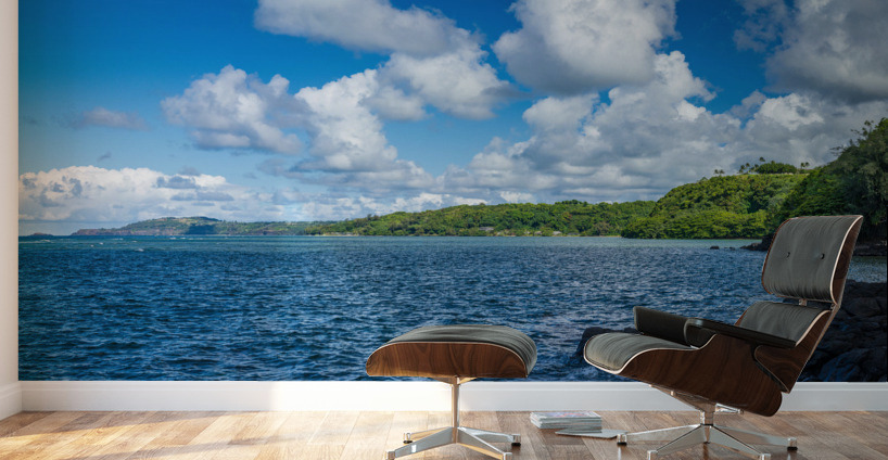 Panoramic view of Princeville coastline on Kauai Wall Murals