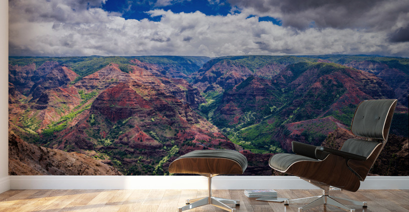 Dramatic sun lighting on Waimea Canyon on Kauai Wall Murals