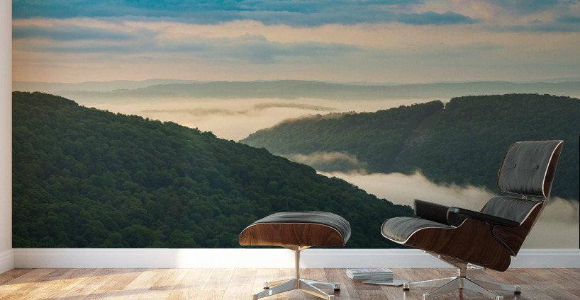 Mist swirling over Cheat River gorge at sunrise near Raven Rock Wall Murals