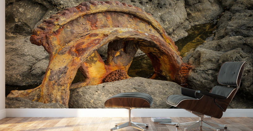 Sugar industry equipment abandoned on Mokolea Point Wall Murals