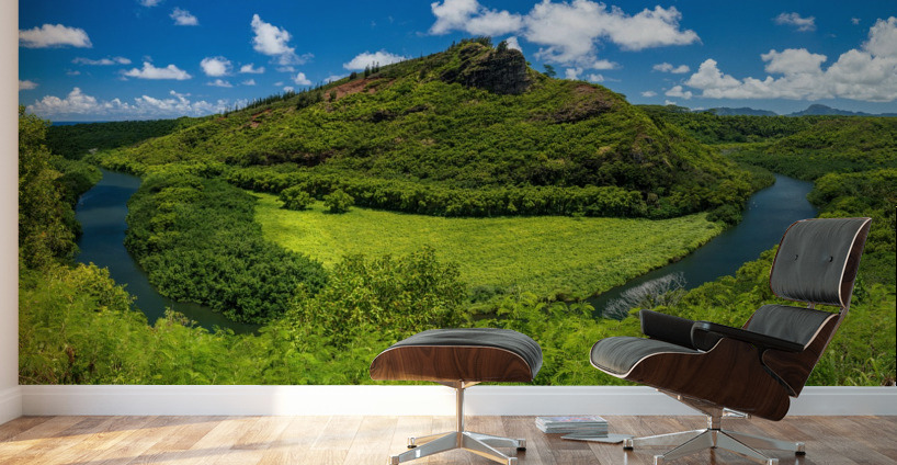 Wailua River bends around a meadow on Kauai Wall Murals
