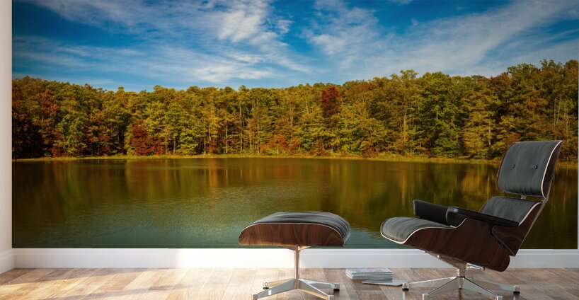 Fall leaves surround reservoir in Coopers Rock State Forest in W Wall Murals