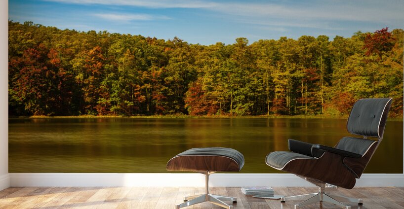 Fall leaves surround reservoir in Coopers Rock State Forest in W Wall Murals