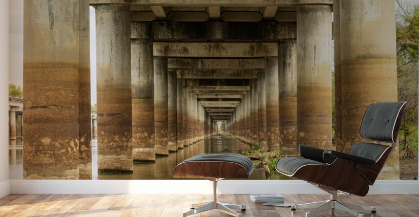 Supporting pillars of I-10 bridge above Atchafalaya basin in Lou Wall Murals