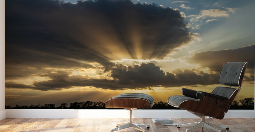 Sunset over the Mississippi river in Baton Rouge Louisiana Wall Murals