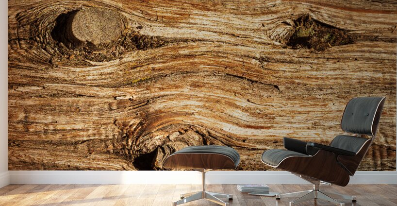 Background close up of cedar trunk bark Wall Murals