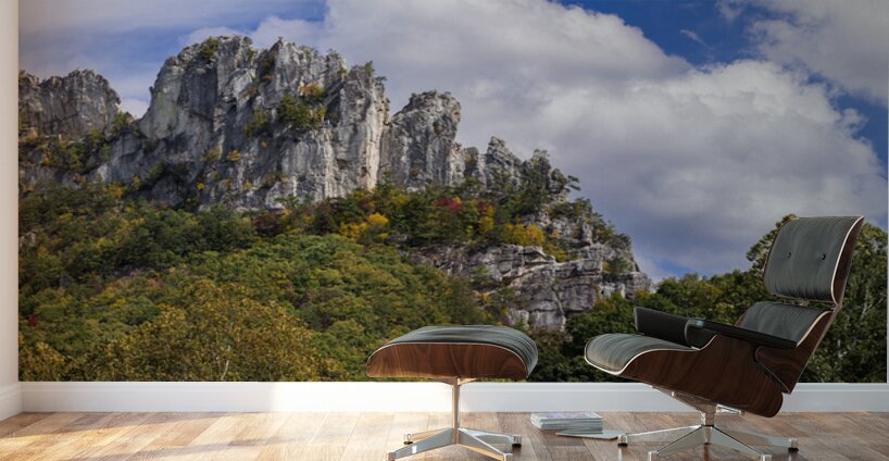 Seneca Rocks in West Virginia Wall Murals
