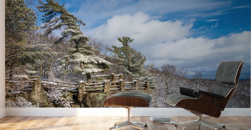 Coopers Rock overlook covered in winter snow near Morgantown Wall Murals