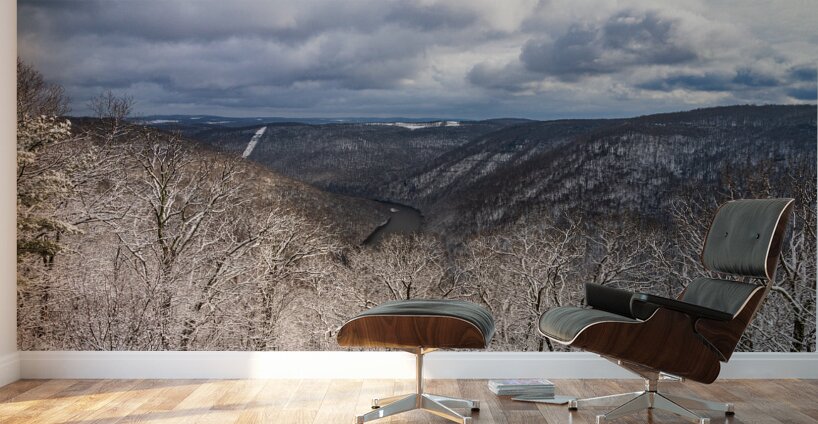 Snowy Cheat River Canyon at Coopers Rock on winter afternoon Wall Murals