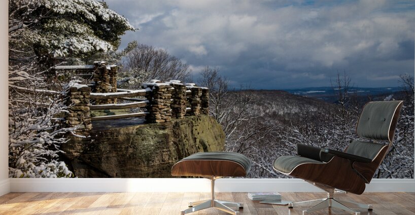 Coopers Rock overlook covered in winter snow near Morgantown Wall Murals
