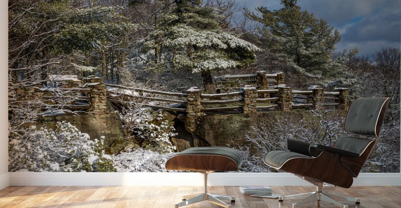 Coopers Rock overlook covered in winter snow near Morgantown Wall Murals
