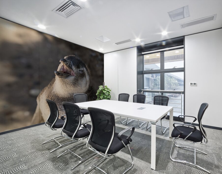 Single magellanic penguin chick showing papillae in mouth Wall Printing