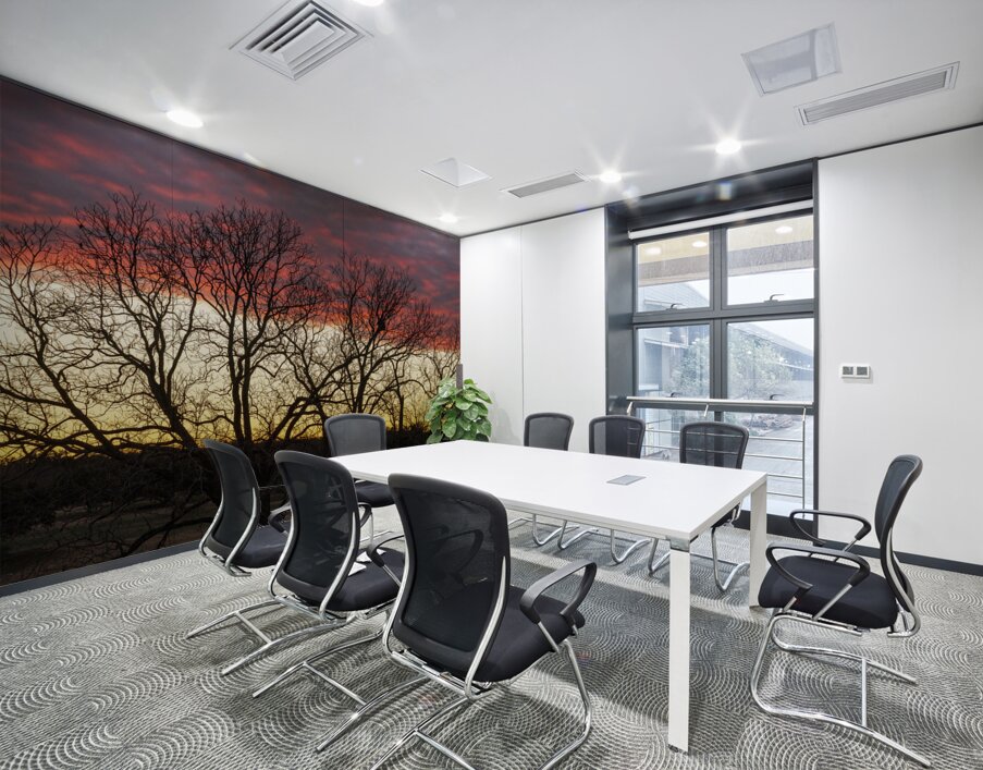 Dramatic sunset over Legacy Hills Park lake with details of tree Wall Printing