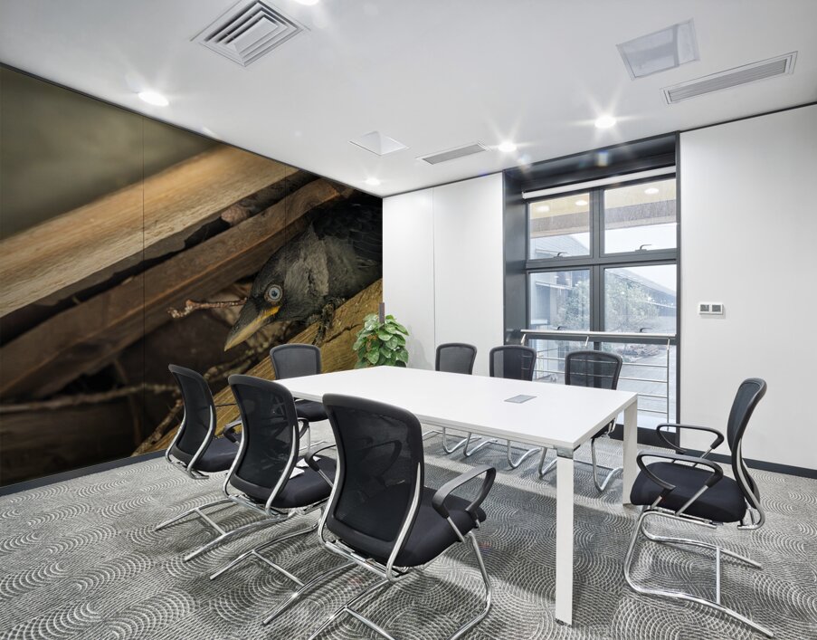 Head of a jackdaw poking out from nest in the rafters of an old  Wall Printing