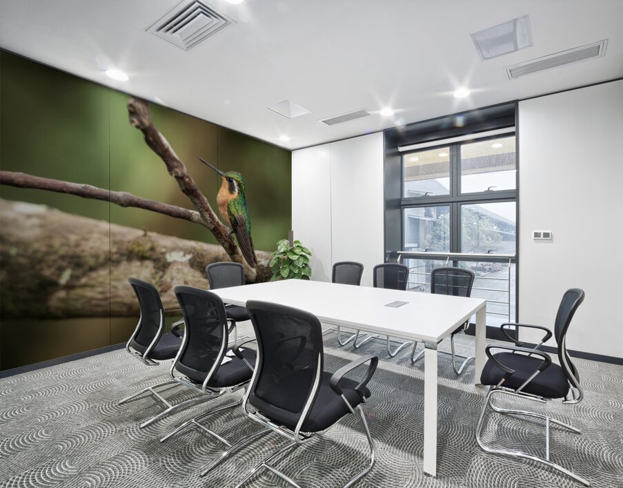 White throated mountaingem hummingbird perched on a twig  in Cos Wall Printing