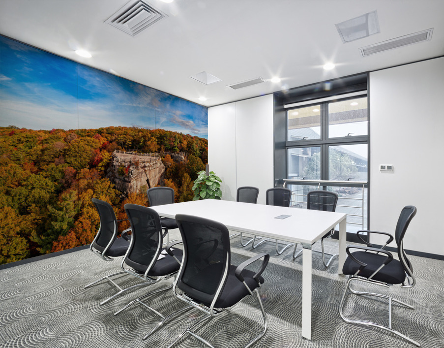 Coopers Rock state park overlook in West Virginia with fall colors Wall Printing
