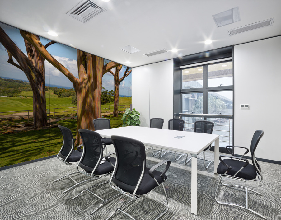 Group of three rainbow eucalyptus trees  Wall Printing