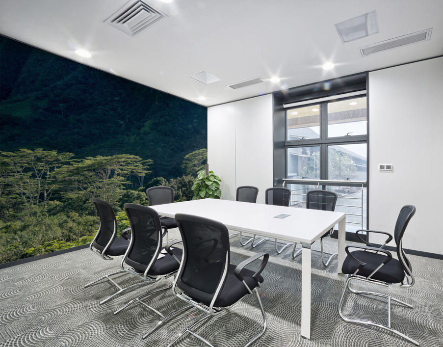 Tall albizia trees against the steep mountain slopes in Oahu Wall Printing