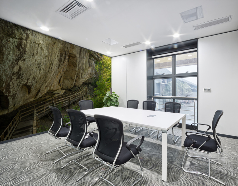 Pathway in Audra State Park near Buckhannon in West Virginia Wall Printing