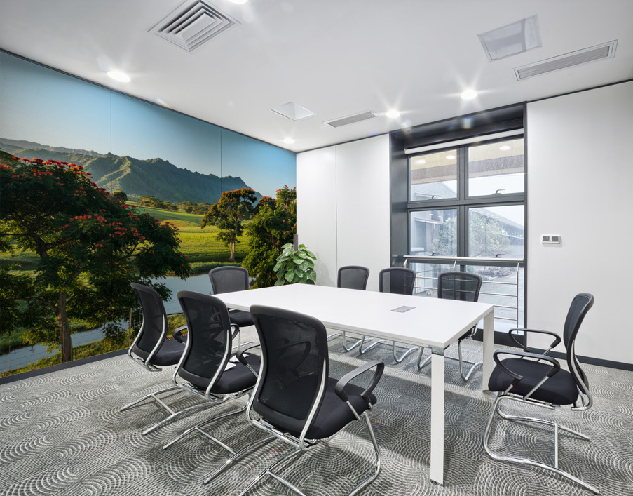 Striking landscape of garden island of Kauai Wall Printing