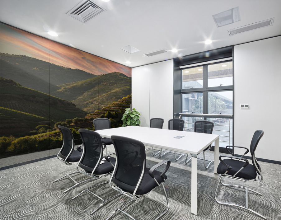 Terraced vineyard on the banks of the Douro Wall Printing