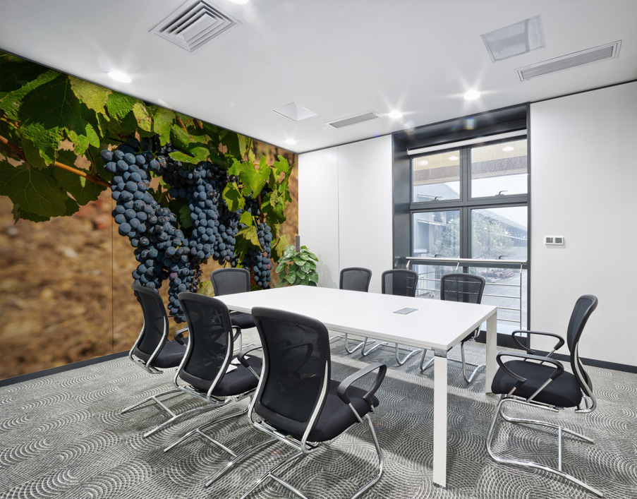 Bunches of grapes for port wine in Douro valley Wall Printing