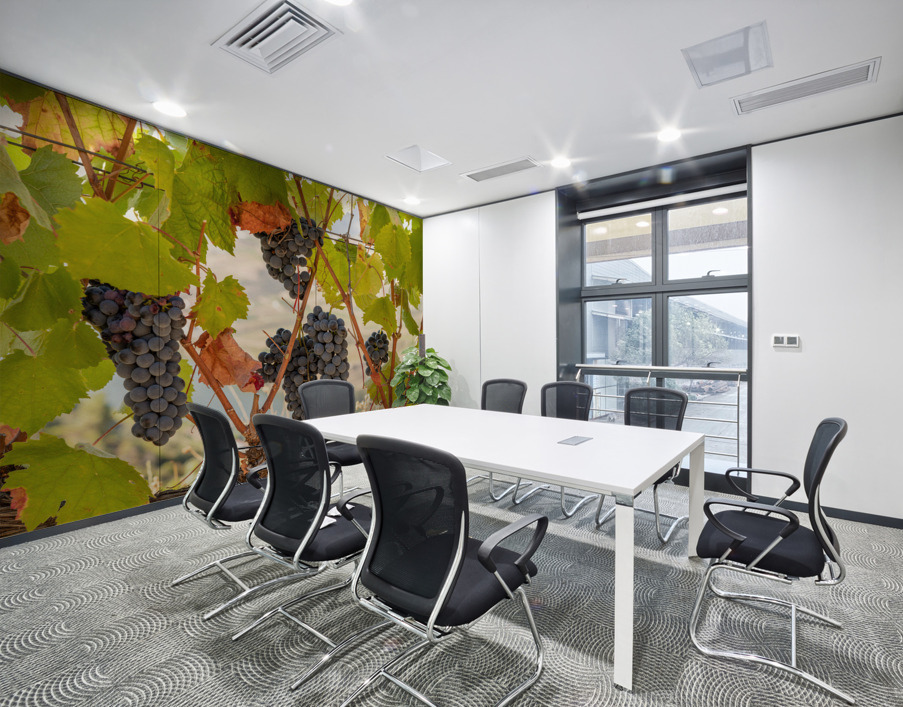 Grapes for port wine by the River Douro Wall Printing