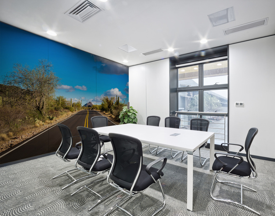 Road and cactus in Saguaro National Park Wall Printing