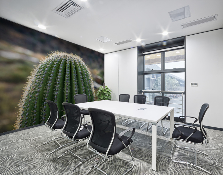 Ouch - close up of top of saguaro cactus Wall Printing