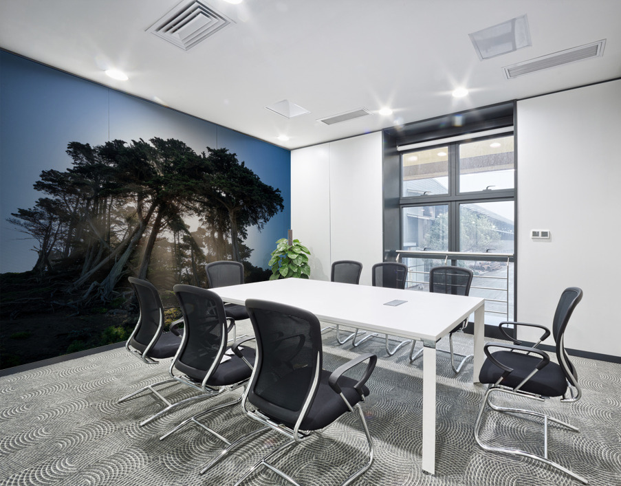 Sunbeams from large pine or fir trees  Wall Printing