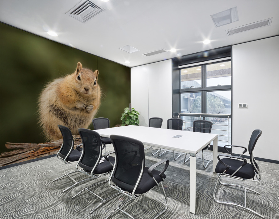 Cute Chipmunk well fed on nuts and seeds Wall Printing