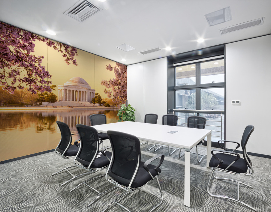 Beautiful early morning Jefferson Memorial cherry blossom yellow Wall Printing