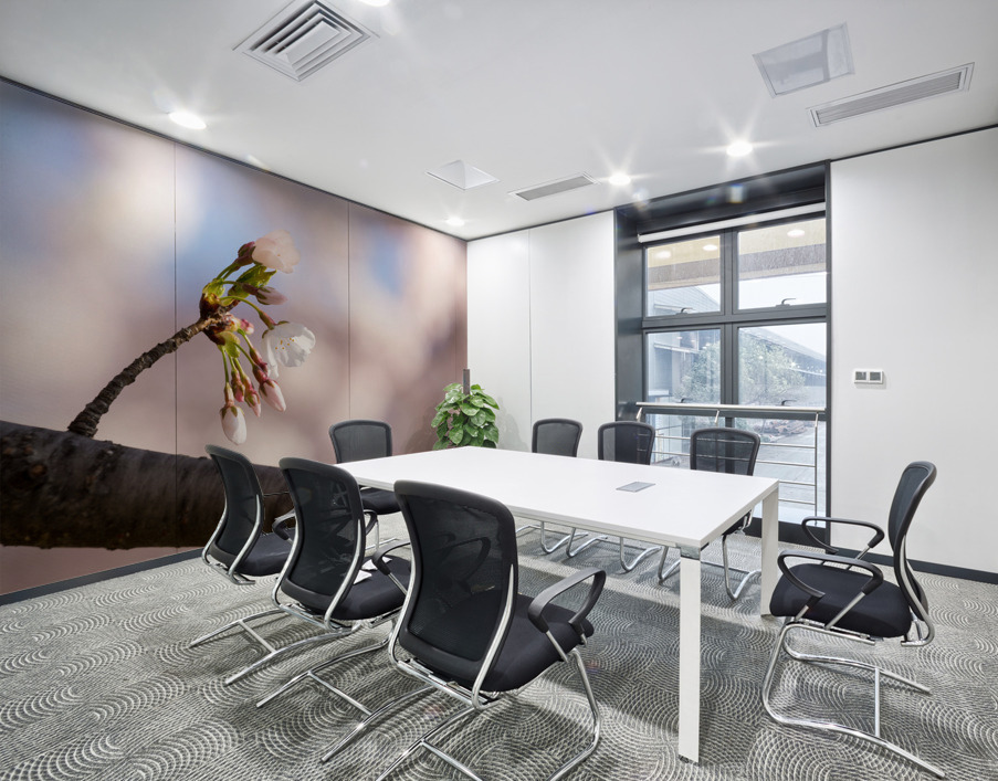 Close up of Cherry Blossom flowers Wall Printing