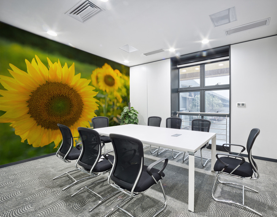 Sunflowers in early evening as sun sets Wall Printing